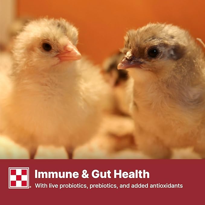 Purina Start & Grow | Medicated Chick Feed Crumbles | Food for Baby Chicks - 50 Pound (50 lb) Bag