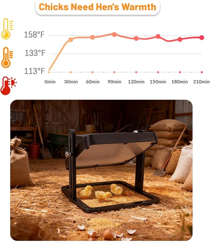 Brooder Heater for Chicks – 10.8" Radiant Heat Plate with Adjustable Height & Angle, Thermostat Control (113–158 ℉), Safe & Even Warmth for up to 15 Baby Chicks