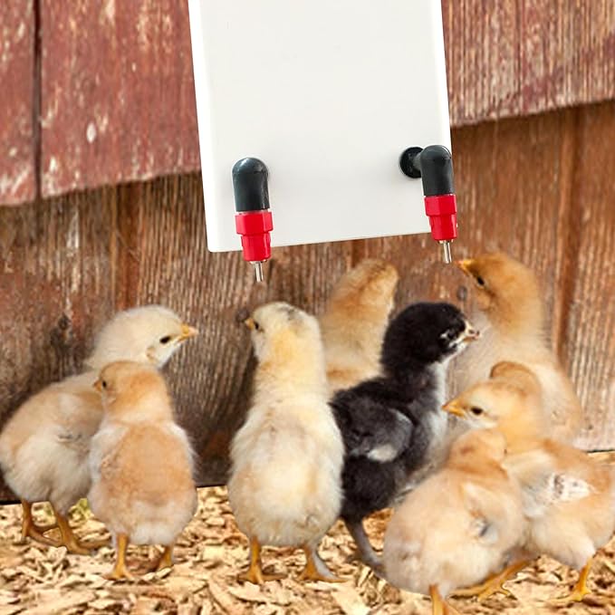 Chick Nipple Waterer Matel Chicken Water Nipples Rabbit Water Nipples (6pcs, Plastic)