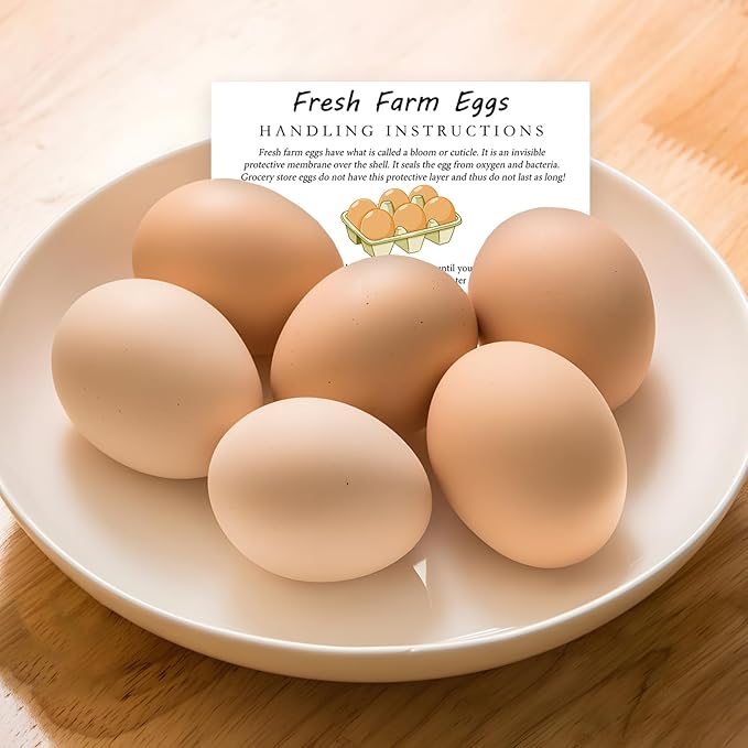 300 PCS Fresh Farm Eggs Handling Instructions Cards, 2x3.5" Cards for Carton, Basket, Farm, Supermarket