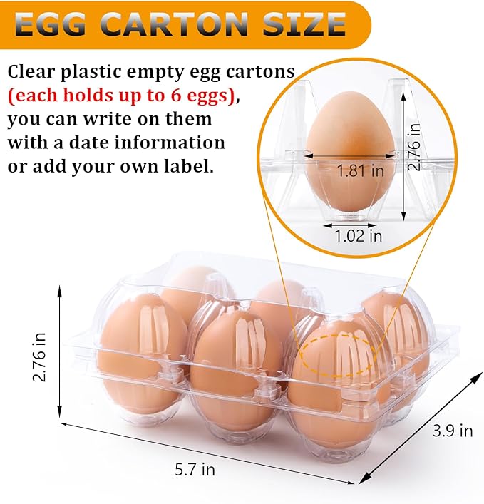 180 Pack Egg Cartons 6 Count, Clear Plastic Egg Cartons Cheap Bulk for Chicken Eggs, Reusable Egg Holder Container for Family, Chicken Farm and Markets, Medium