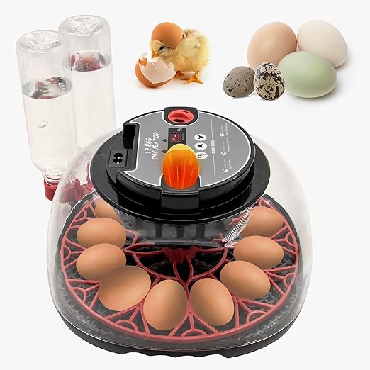 12 Egg Incubator with Humidity Display, Egg Incubator with Automatic Egg Turning and Automatic Water Bottle Refill, Chicken Incubators for Hatching Eggs, Duck Egg Quail Incubator