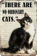 Funny Black Cat Tin Sign ‘There Are No Ordinary Cats’ Vintage Metal Wall Art 8x12 Inch Home Decor For Kitchen Bar Office For Cat Lovers Gift