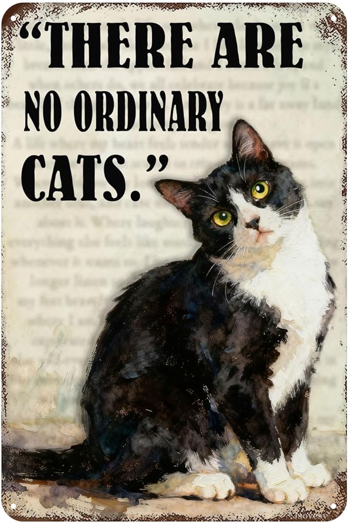 Funny Black Cat Tin Sign ‘There Are No Ordinary Cats’ Vintage Metal Wall Art 8x12 Inch Home Decor For Kitchen Bar Office For Cat Lovers Gift