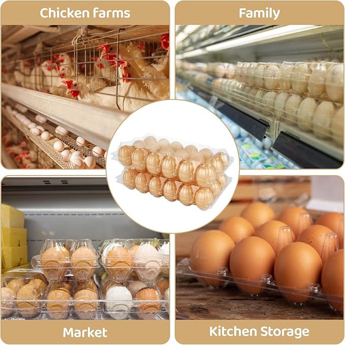 DAJAVE 50 Pack Plastic Egg Cartons, Clear Egg Cartons 18 Count, 3x6 Grids Egg Cartons Cheap Bulk, Plastic Egg Holder for Family, Pasture, Farm Markets Display (Medium)