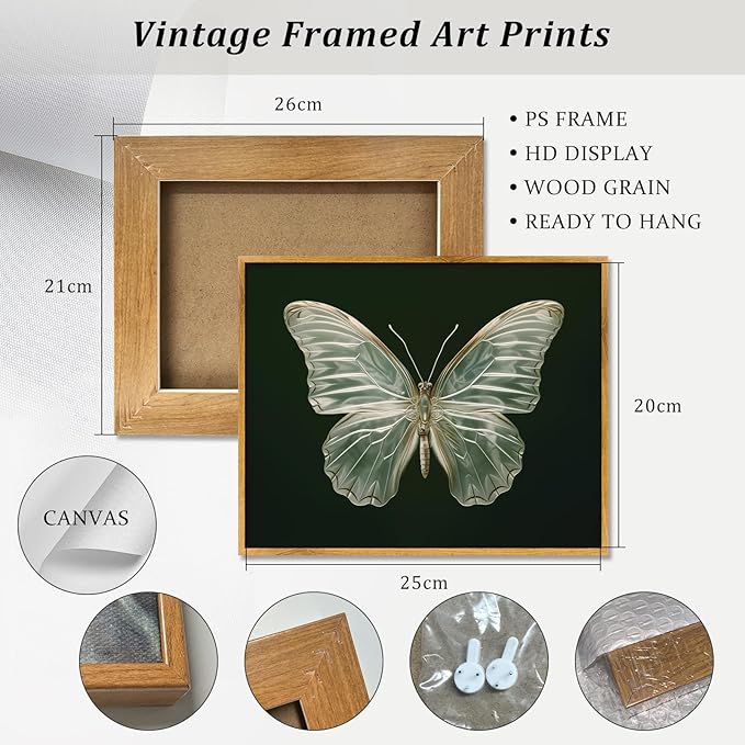 Vintage Butterfly Canvas Wall Art Morpho Butterfly Poster Dark Moody Sage Green Insect Prints Framed Antique Moth Painting Vintage Green Picture for Cottagecore Living Room Bedroom Decoration