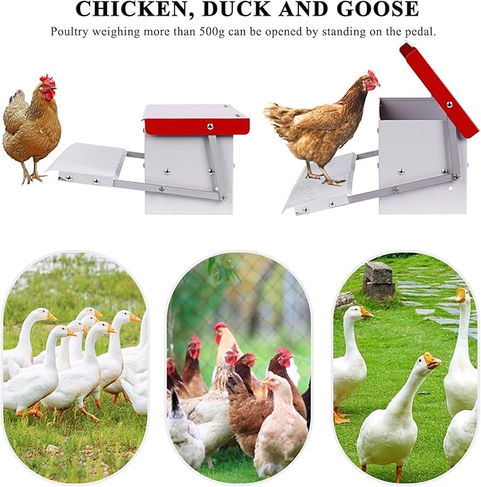 9L Automatic Chicken Feeder Treadle Rat Proof Metal Galvanized Poultry Feeders Treadle Chicken Feeder with Weatherproof Lid for Duck Turkey Outside No Waste