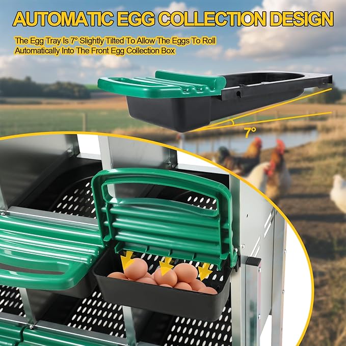 Two-Tier Chicken Nesting Box,6 Hole Metal Chicken Egg Laying Box with Swing Perch and Rollout Egg Collection Protect Eggs