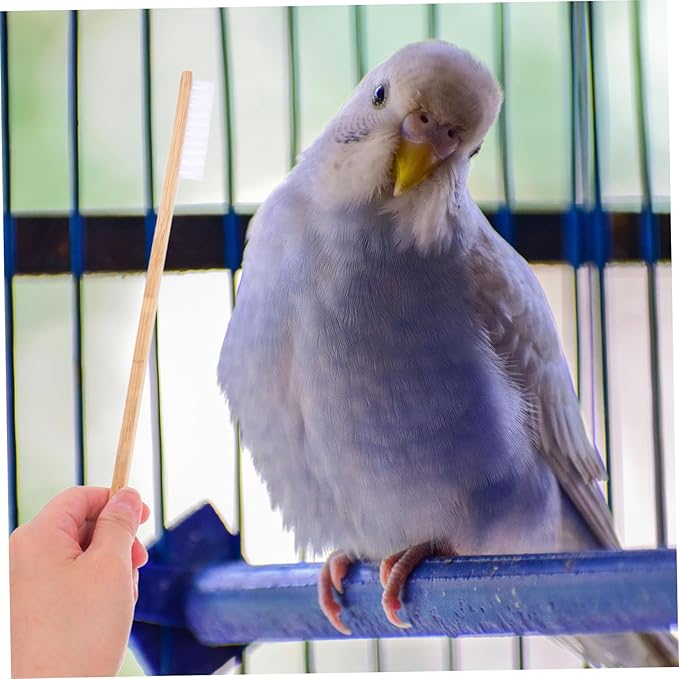 2pcs Bird Cage Cleaning Brush Set Brush Scoop for Pet Bird Care Cage Cleaning Tools