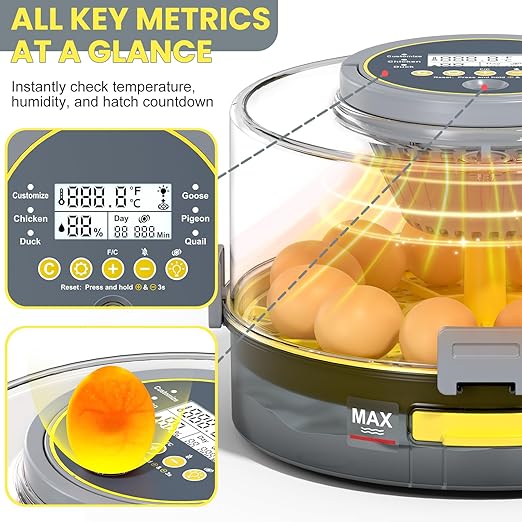 Incubators for Hatching Eggs with Automatic Egg Turner, Temperature Humidity Control, Egg Candler, Large Water Tank, 5 Preset Hatching Modes for Chicken Duck Goose Quail Pigeon Eggs-12 Capacity