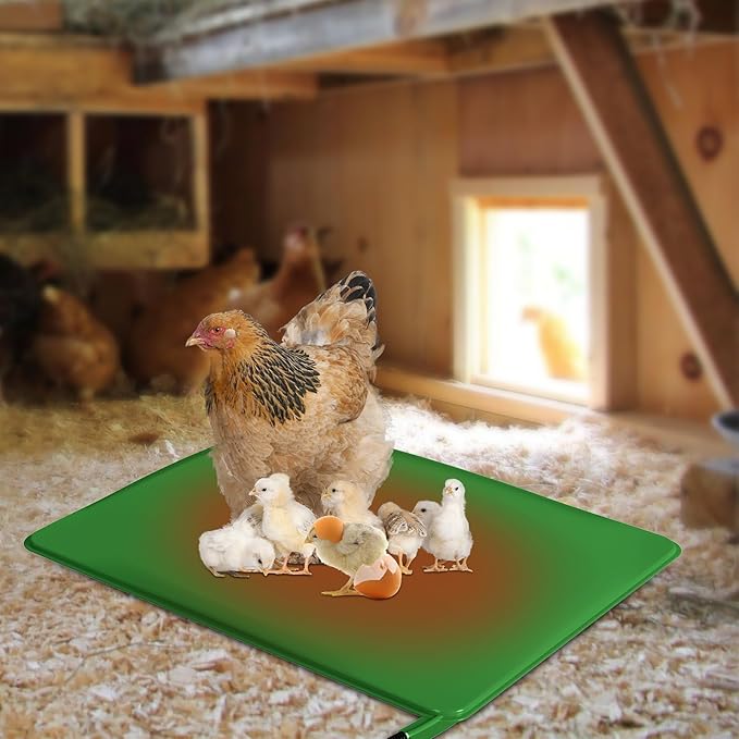 Chicken Heating Pad with Adjustable Digital Thermostat, Electric Chicken Heated Mat with Chew Resistant Cord, Waterproof Outdoor Chicken Coop Heater for Baby Chicks, Brooder Heater Warming Pad, Green