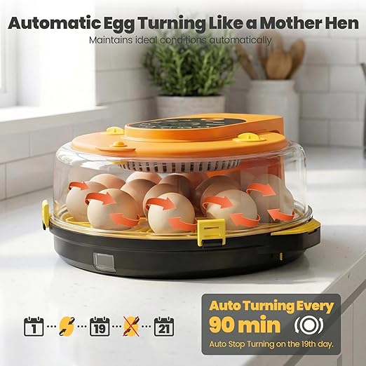 Incubators for Hatching Eggs -15-Egg Automatic Egg Chick Incubator with 5 Smart Preset Modes and Egg Turning, Digital Control Incubator for Chicken Duck Quail