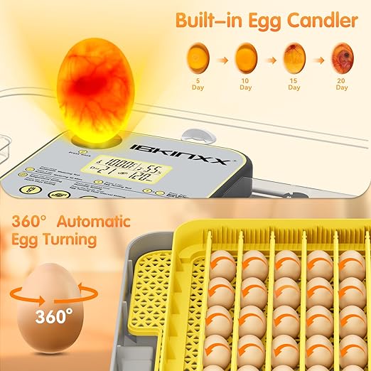 Incubator for Hatching Eggs-48 Egg Capacity, 2026 Newly Upraded Auto Egg Turner & Auto Precision Humidity Control System, 360° Clear Viewing for Chicken, Duck and Quail Eggs (Yellow)