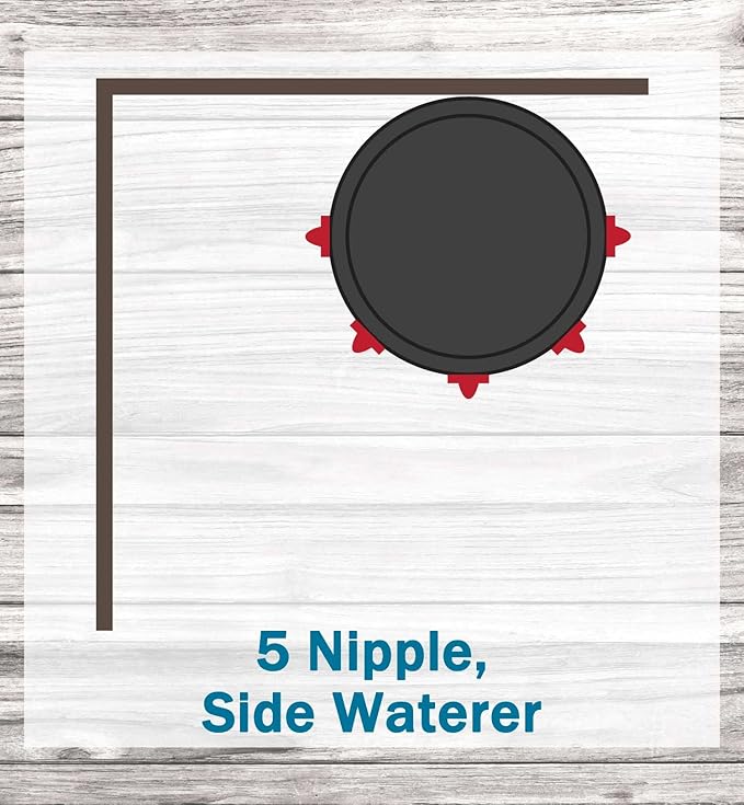 Noble Nest 5 gal. Incubator with 5 Nipple Side Waterer and Black Stand