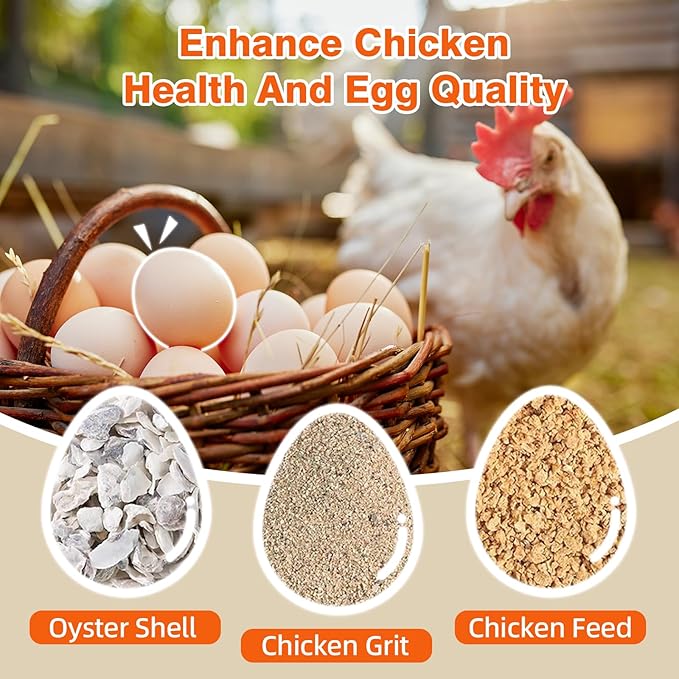 2Pack Chicken Grit Feeder, Metal Oyster Shell Feeder with Weatherproof Lid and Drain Holes, Hanging Gravity Chicken Grit Feeder, Coop Accessories for Hens and Chicks