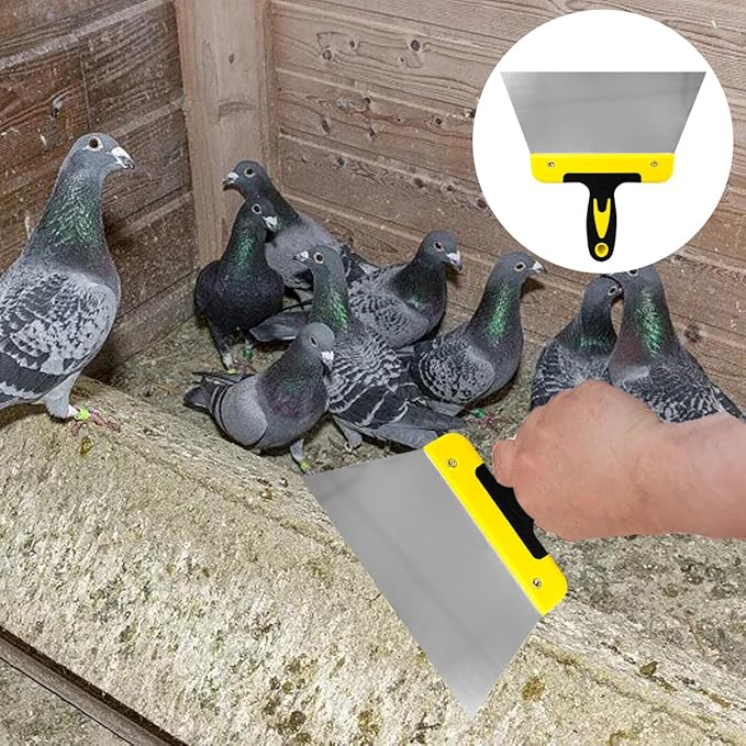 Cunguv Middle Scraper for Bird Droppings Pigeon Chickens Poop Scrapers Stainless Steel