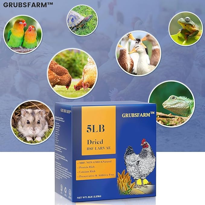 GRUBSFARM Black Soldier Fly Larvae 5LB, 100% Natural Non-GMO Molting & Laying Supplement for Hens