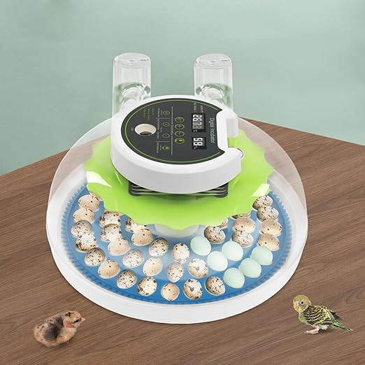 Eggs Automatic Incubator, 110V 60W Fully Automatic Egg Hatching Incubator 60 Eggs Incubator Poultry Hatcher w/Automatic Turning & Temperature for Hatching Duck & Goose Eggs (60 Eggs)