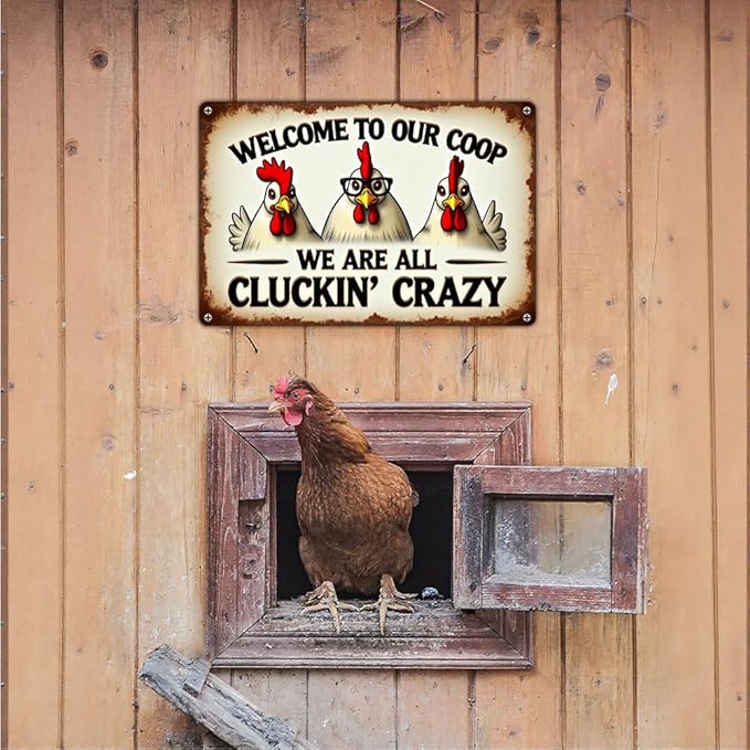 FunnySign Chicken Gifts Rooster Décor Welcome To Our Coop We Are All Cluckin' Crazy Rustic Tin Sign For Home Farm Chicken Coop Decor 8x12 Inch (9702)