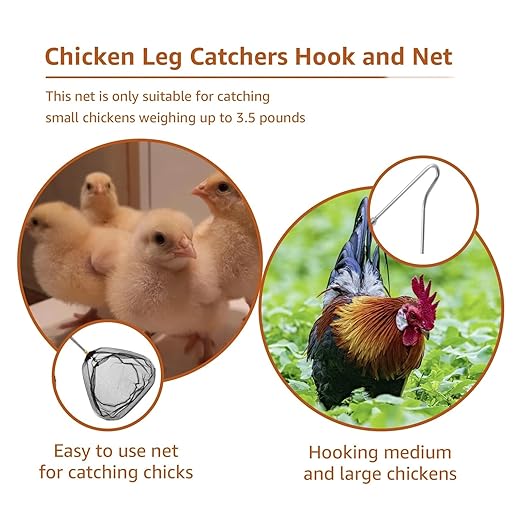 4 Pcs Poultry Catcher Kit, Stainless Steel Chicken Grabber Pole & Net for Birds with Alloy Handle Fishing