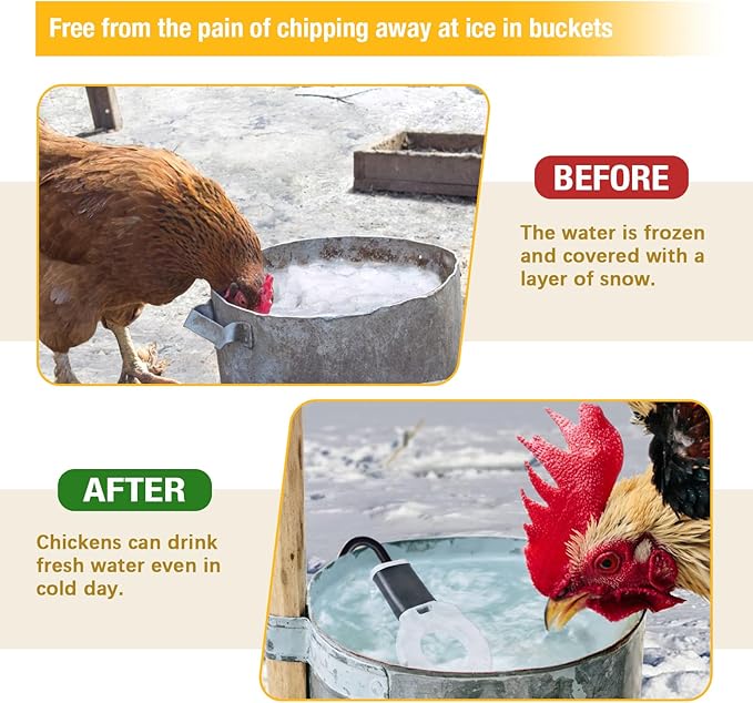 150W Chicken Water Heater, Submersible Bucket Heater Deicer for 5 Gallon, Heated Chicken Waterer for Winter, Freeze-Proof Poultry Waterer, Stock Tank & Water Trough Warmer for Livestock