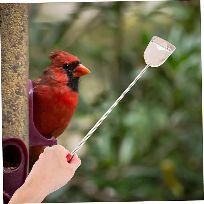 ibasenice 2-Piece Bird Cage Cleaning Brush and Droppings Shovel Set Cleaning Tools for Small PET Cages Bird Feeders and Reptile Enclosures