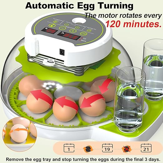 Egg Incubators for Hatching Eggs, 8/30 Chicken Egg Incubator with Automatic Egg Turning, Temperature Control & Humidity Display, Egg Candler, Home Use for Chicken, Duck, Quail - 2 Egg Trays Green