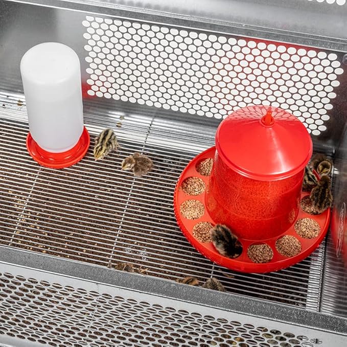 Premier 1 QuikClean Chick Brooder for Poultry with Easy Access Hinged Lid & Removable Collection Tray (Add-Your-Own Heat Source)