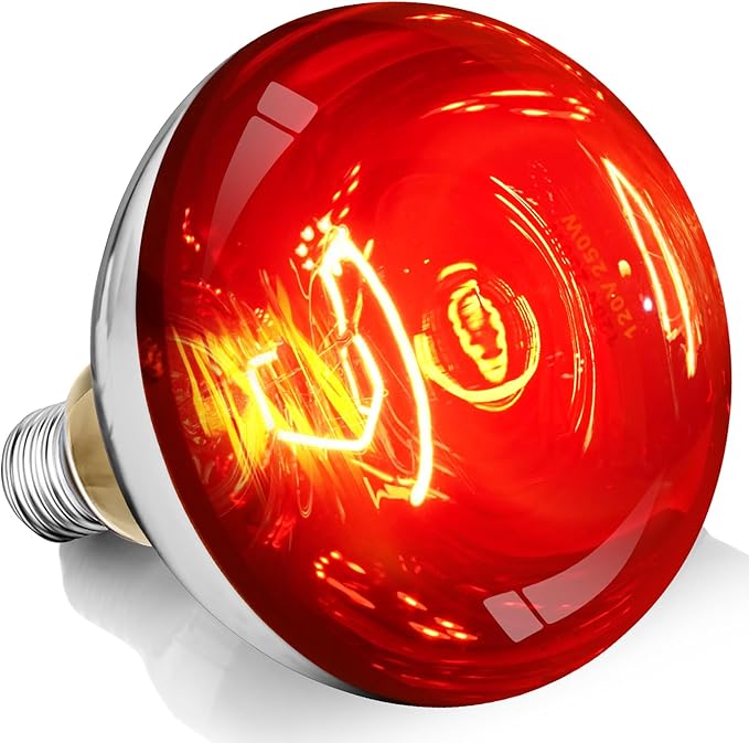 250W R40 Red Heat Lamp Bulbs, 8000 Hours Rated, Infrared Flood Light, Brooder Heating Lamp for Chickens, Reptiles, Pets, Bathroom, E26 Base - 1 Pack