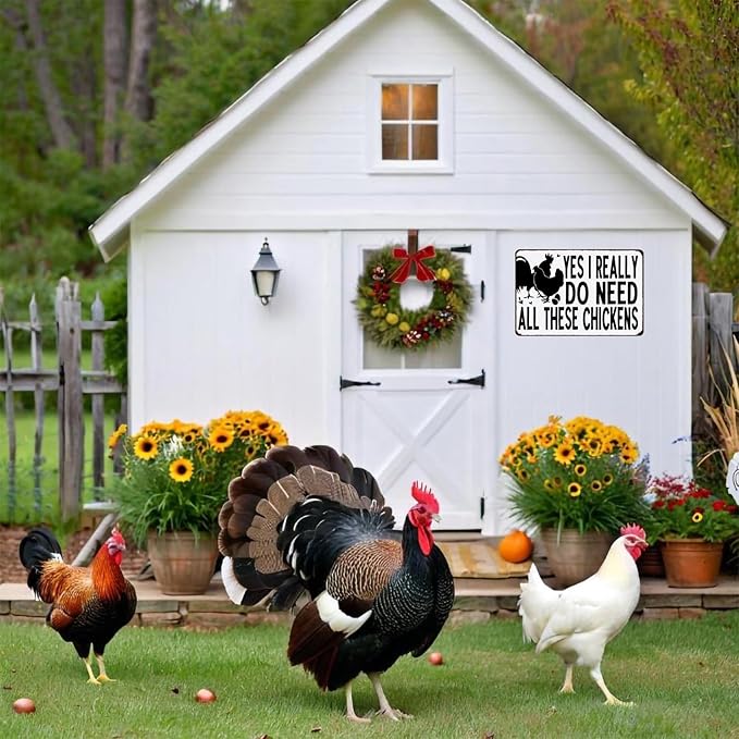 Funny Vintage Metal Chicken Sign, Chicken Decor for Coop Farmhouse