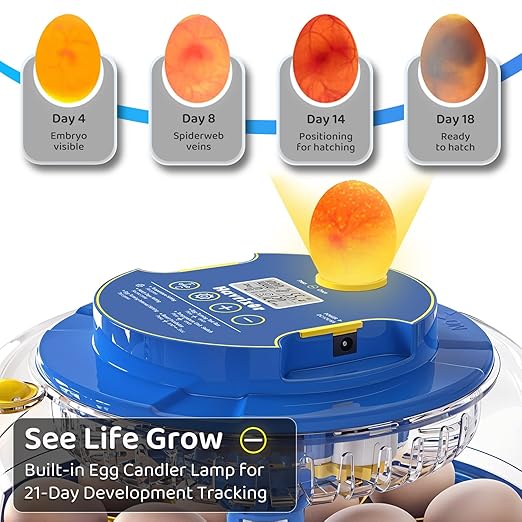 18 Egg Incubator for Hatching Eggs with Fully Automatic Egg Turning, Humidity Control by Bottles, Incubators for Chicken, Ducks, Quail, and Other Poultry Eggs, 360° View with Clear Window