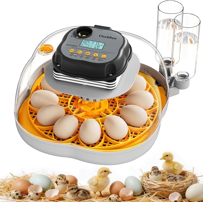 Chicken & Quail Egg Incubator, Dual Egg Trays, Automatic Egg Turning with Auto Stop, Humidity Control, Adjustable Incubation Day & Period, Automatic Water Refill, Egg Candler, Air Vent, Clear View