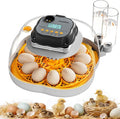 Chicken & Quail Egg Incubator, Dual Egg Trays, Automatic Egg Turning with Auto Stop, Humidity Control, Adjustable Incubation Day & Period, Automatic Water Refill, Egg Candler, Air Vent, Clear View