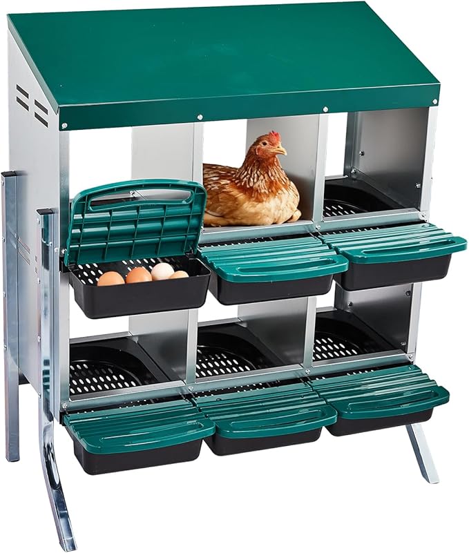 Outvita Chicken Nesting Boxes, 6 Compartments Metal Nesting Boxes for Chickens with Metal Legs, Wall/Floor Mount for Laying Eggs with Swing Perch and Roll Away Egg Collection for Chicken Coop, Green