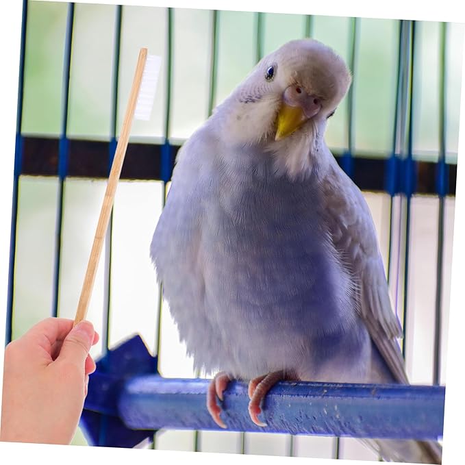 2pcs Bird Cage Cleaning Brush Set Droppings Shovel Efficient Cleaning Tools for Bird and Small Animal Cages Versatile Supplies for Healthier Habitats