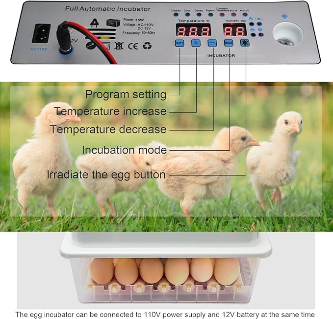 Incubators for Hatching Eggs, Egg Incubator with Automatic Egg Turning and Humidity Control, Egg Incubator for Chicken Quail Duck Pigeon Eggs(36 Eggs)
