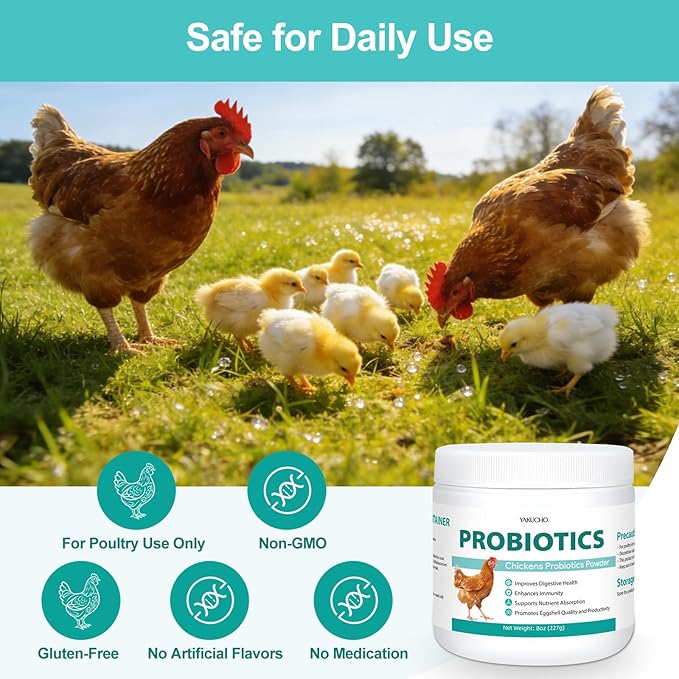 Chicken Probiotic Powder, 300 Billion CFU Multi-Strain Poultry Probiotics for Poultry, Supports Digestive Health Immune Support & Eggshell Quality, Easy Mix Feed Supplement Pullets Layers 8 oz