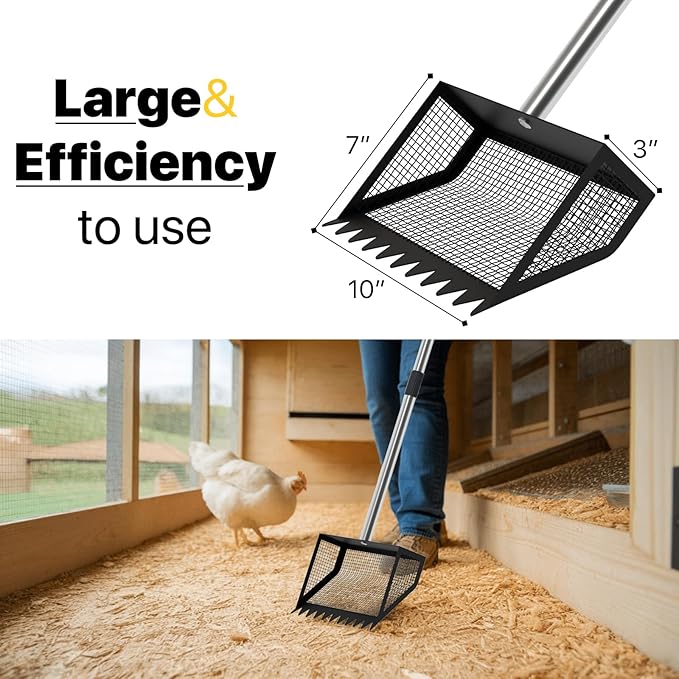 Chicken Poop Scooper, 10" Large Chicken Poop Scooper Head for Sand, 62-inch Long Handle Chicken Droppings Scoop Rake for Chicken Coop, Chicken Coop Accessories Tool for Clean