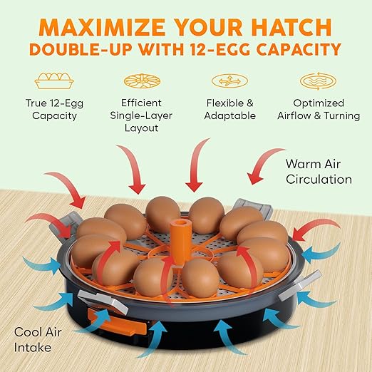 12 Egg Incubator with Automatic Egg Turning and Humidity Control – Temperature Adjustment – incubators for Hatching Eggs – Built-in Egg Candler – Incubadora de Huevos de Gallina – Easy to Use