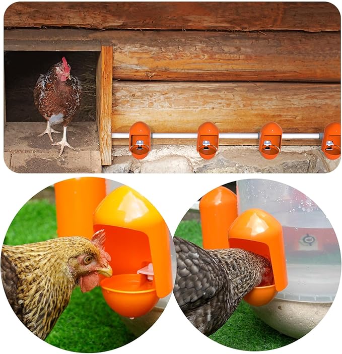 Large Chicken Waterer Cups Automatic with Anti-Roosting Cover | Poultry Waterer Cups Suitable for Chicks, Duck, Goose, Turkey and Bunny (5 Pack)