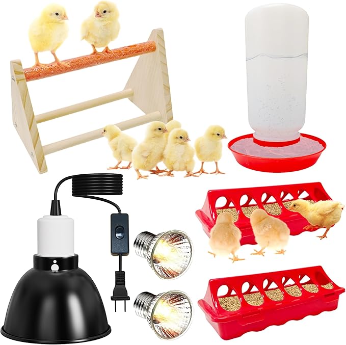Chick Starter Kit, 2 Chick Feeders and 1.3L Automatic Waterer Set with 75W Adjustable Heat Lamp (2 Bulbs) and Stand Perch, Brooder/Coop Supplies for Baby Chicken, Duck, Quail