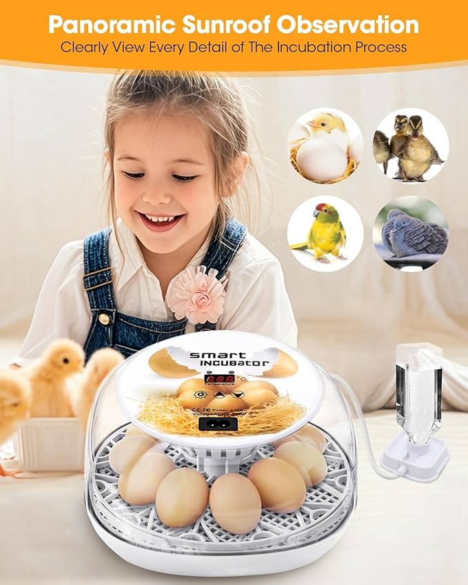 Incubators for Hatching Eggs, Chicken Waterer Cups, Automatic Egg Turner Holds 12 Eggs, Smart Incubator 360° Clear Window with Temperature Display Egg Candler for Small Poultry Chickens Ducks Quails