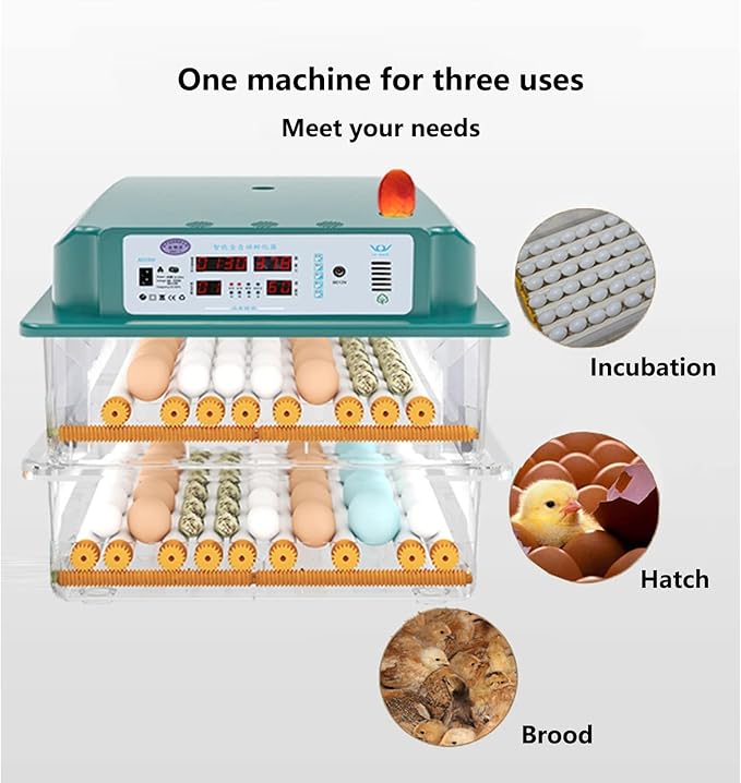 Egg Incubator, 12 Egg Incubator Digital with Temperature Control and Automatic Turning Chicken Poultry for Duck Goose Quail