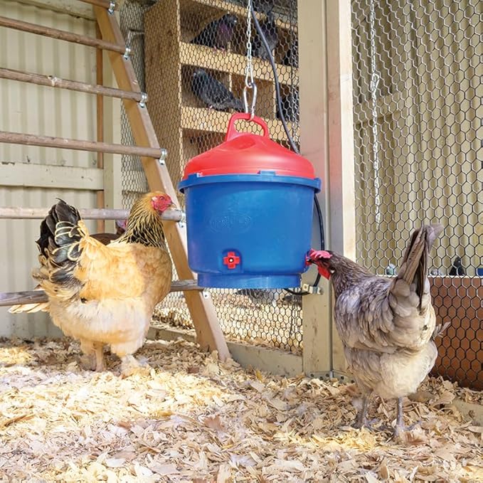 Premier 1 All-Season Heated Poultry Waterer for Chickens and Ducks - 3 Gallon