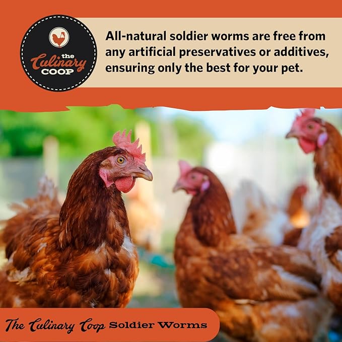 Fluker's Culinary Coop Bulk Dried Soldierworms, Premium Organic Dried Soldierworms for Chickens-High Protein & Omega3 Chicken Feed for Wild Birds, Reptile,& Chicken Treats for Laying Hens, 5lbs