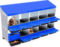 Chicken Nesting Box,10 Hole 2 Layer Hen Nest Boxes, Roll-Away Egg Collection System with Ventilation Holes，Rustproof Plastic Tray & Keyhole Mounting, Chicken Laying Box