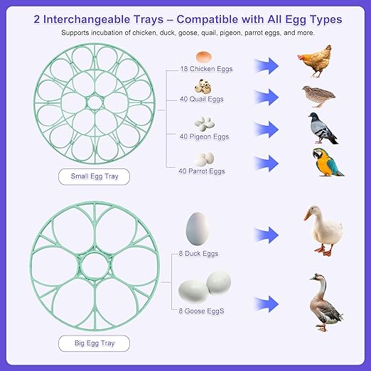 18 Egg Incubator for Hatching Chicks, Automatic Egg Turner Holds 18 Eggs, Smart Incubator 360° Clear Window with Temperature and Humidity Display Egg Candler for Small Poultry Ducks Quails Eggs