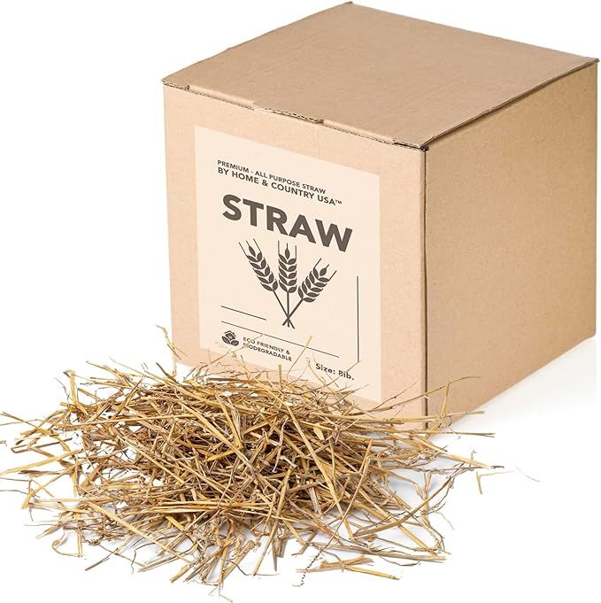 Premium Garden Straw (1 LB) - Straw Mulch That is Designed for Use in Compost Beds, Gardens, Pet Bedding, Lawns and Much More. by Home and Country USA