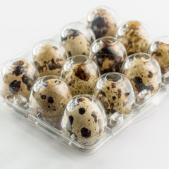 JAPCHET 120 Pack 12 Grid Quail Egg Cartons, Reusable Quail Egg Cartons Cheap Bulk, Stackable Plastic Quail Egg Container for Quail Eggs