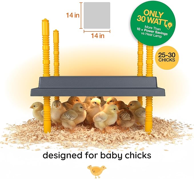 Hatching Time Warmzy 14"x14" Chick Heating Plate – Safe 30W Chicken Coop Heater for 25–30 Chicks with Adjustable Legs | Gentle Low-Heat Brooder Plate for Chicks, Durable Fire-Resistant Chicken Heater